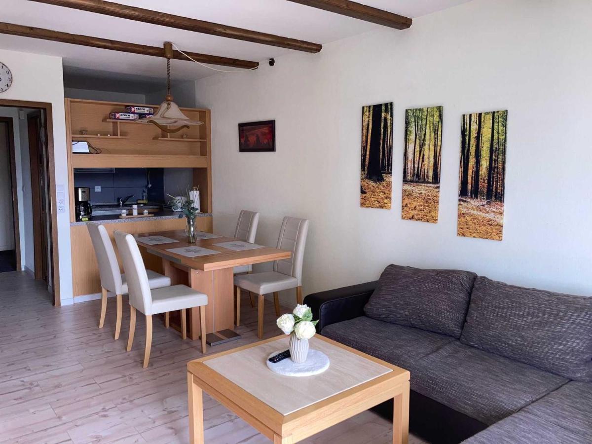 Apartment 457 Hohegeiß Dış mekan fotoğraf